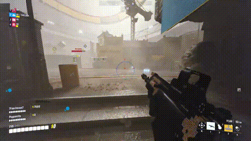 ESP/Wallhack Options